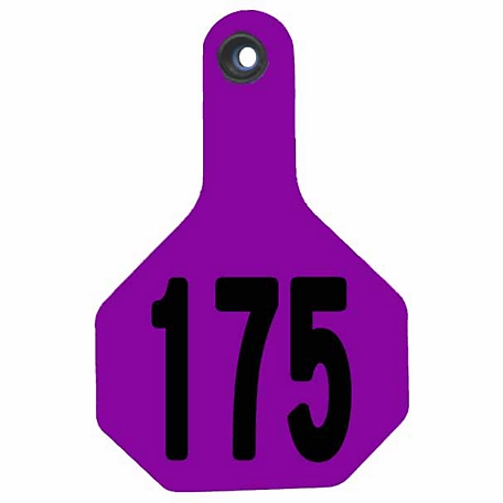 Y-TEX All-American Numbered ID Cattle Tags, 2 pc., 151-175, Medium, Purple, 25-Pack