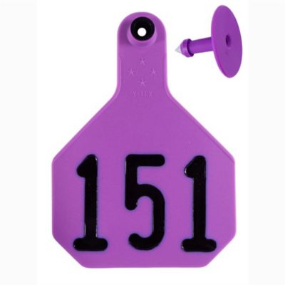 Image showing  All-American Numbered ID Cattle Tags, 2 pc., 151-175, Medium, Purple, 25 pk.
