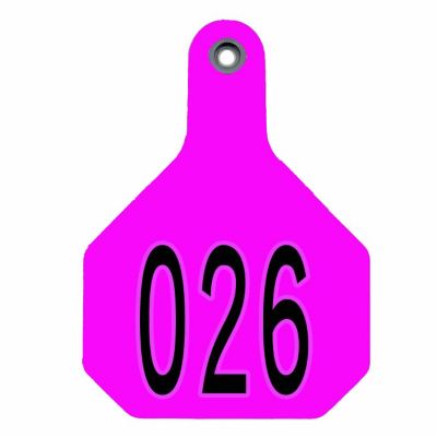 Y-TEX All-American Numbered ID Cattle Tags, 2 pc., 026-050, Medium, Pink, 25-Pack