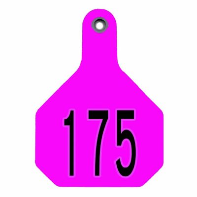 Image showing  All-American Numbered ID Cattle Tags, 2 pc., 151-175, Medium, Pink, 25-Pack