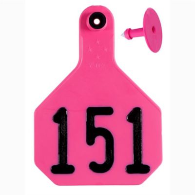 Image showing  All-American Numbered ID Cattle Tags, 2 pc., 151-175, Medium, Pink, 25-Pack