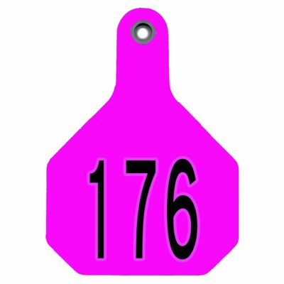 Y-TEX All-American Numbered ID Cattle Tags, 2 pc., 176-200, Medium, Pink, 25-Pack, 7724176