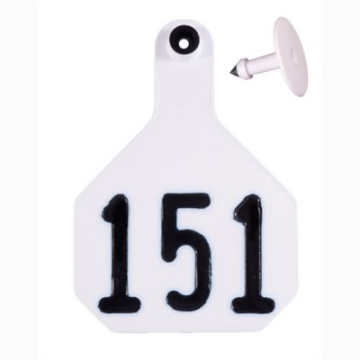 Image showing  All-American Numbered ID Cattle Tags, 2 pc., 151-175, Large, White, 25 pk.