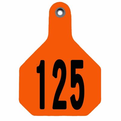 Y-TEX Numbered All-American ID Cattle Tags, 2 pc., 101-125, Large, Orange, 25-Pack