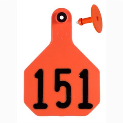 Image showing  All-American Numbered ID Cattle Tags, 2 pc., 151-175, Large, Orange, 25 pk.