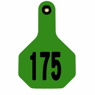 Y-TEX All-American Numbered ID Cattle Tags, 2 pc., 151-175, Large, Green, 25-Pack
