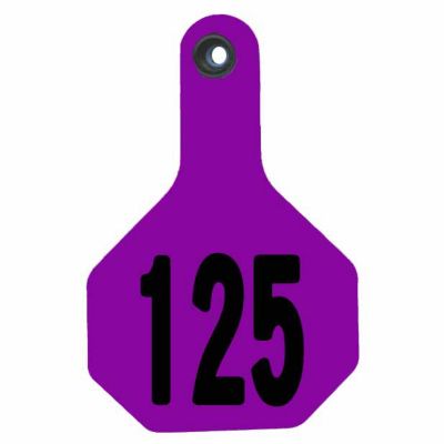 Y-TEX All-American Numbered ID Cattle Tags, 2 pc., 101-125, Large, Purple, 25-Pack