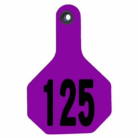 Y-TEX All-American Numbered ID Cattle Tags, 2 pc., 101-125, Large, Purple, 25 pk.