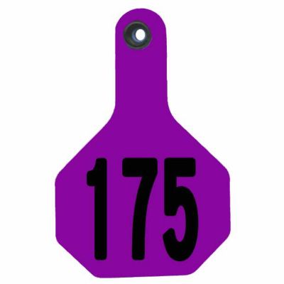 Y-TEX All-American Numbered ID Cattle Tags, 2 pc., 151-175, Large, Purple, 25-Pack