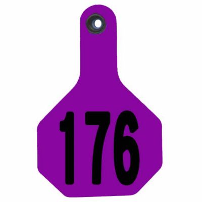 Y-TEX Numbered All-American ID Cattle Ear Tags, 25-Pack, 2 pc.,176-201, Large, Purple