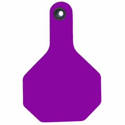 Y-TEX All-American Blank ID Cattle Tags, 2 pc., Large, Purple, 25-Pack