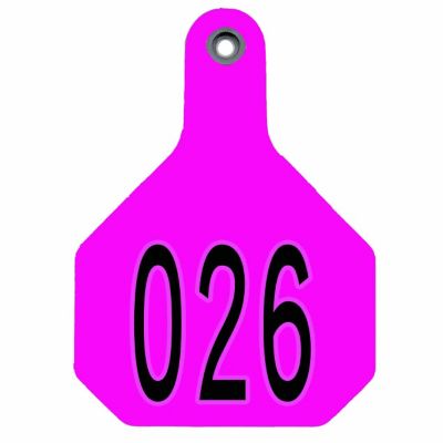 Y-TEX All-American Numbered ID Cattle Tags, 2 pc., 026-050, Large, Pink, 25-Pack