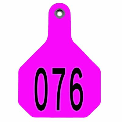 Z Tags Blank ID Cow Ear Tags, 1 pc., Yellow, 25-Pack at