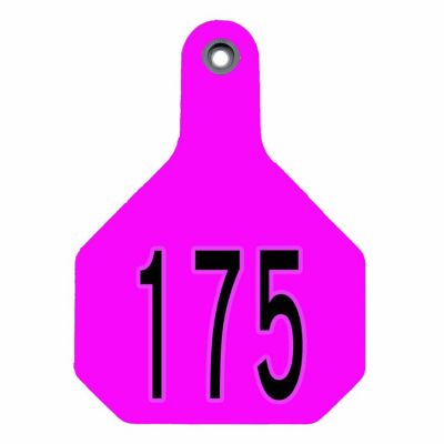 Y-TEX All-American Numbered Plastic Cattle ID Ear Tags, 2 pc., 151-175, Large, Hot Pink, 25-Pack