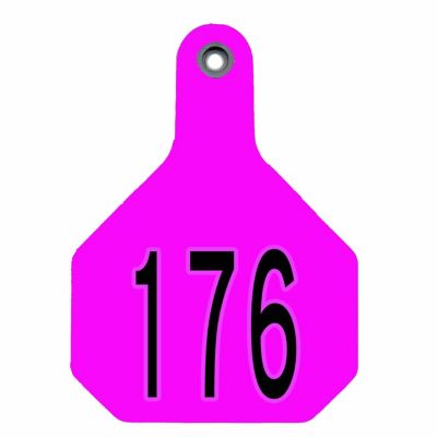 Y-TEX Numbered All-American ID Cattle Ear Tags, 25-Pack, Numbered 176-200, 2 pc., Large, Hot Pink