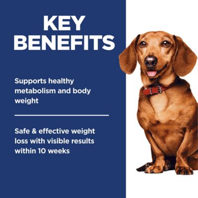 Image showing  Small and Mini Breed Adult Perfect Weight Chicken Recipe Dry Dog Food