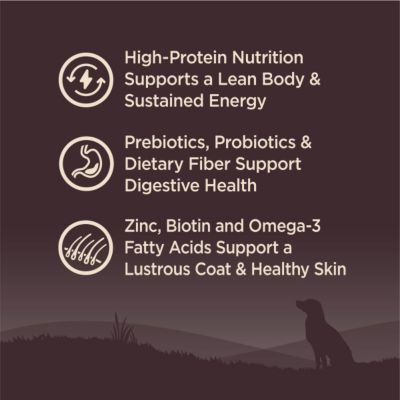 Image showing  Adult High-Protein Ocean Recipe Dry Dog Food