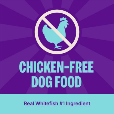 Image showing 8 th Wellness CORE Adult High-Protein Ocean Recipe Dry Dog Food