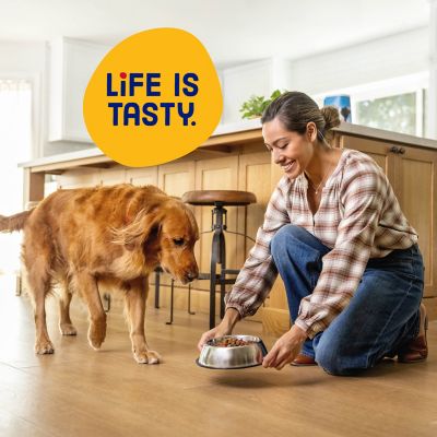 Image showing 9 th Kibbles 'n Bits Original All Life Stages Savory Beef and Chicken Recipe Dry Dog Food