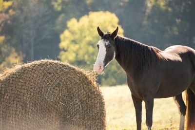 Image showing  6 ft. Round and 9 ft. Square Bale Hay Net