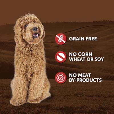 Image showing  Adult Beef and Vegetables Stew Wet Dog Food, 13.2 oz.