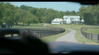 Image showing  Adult Shredded Salmon Dinner in Gravy Recipe Wet Cat Food, 5.5 oz.