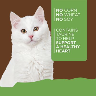 Image showing  Adult Shredded Chicken Dinner in Gravy Recipe Wet Cat Food, 5.5 oz.