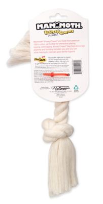 Image showing  White Rope Bone, Medium