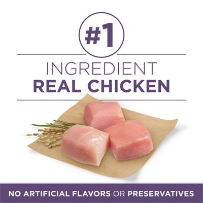 Image showing  7 Plus Adult High-Protein Vibrant Maturity Chicken Formula Dry Dog Food, 31.1 lb. Bag