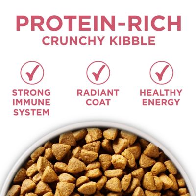 Image showing  Plus Skin and Coat Formula Natural Dry Dog Food