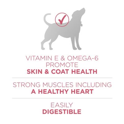 Image showing  Plus Skin and Coat Formula Natural Dry Dog Food