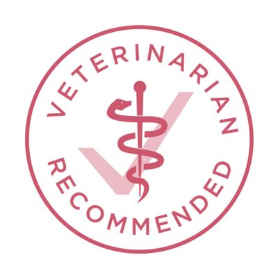 Image showing  Plus Skin and Coat Formula Natural Dry Dog Food