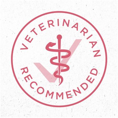 Image showing 7 th Purina ONE Plus Skin and Coat Formula Natural Dry Dog Food