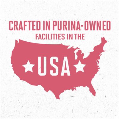 Image showing 8 th Purina ONE Plus Skin and Coat Formula Natural Dry Dog Food