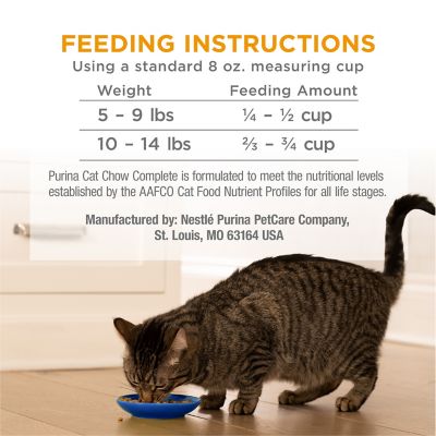 Image showing 6 th Purina Cat Chow Cat Chow Adult Indoor/Outdoor High-Protein Complete Chicken Recipe Dry Cat Food