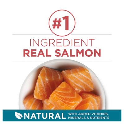 Image showing 1 th Purina ONE Natural Adult Indoor/Outdoor Tender Selects Blend with Real Salmon Recipe Dry Cat Food