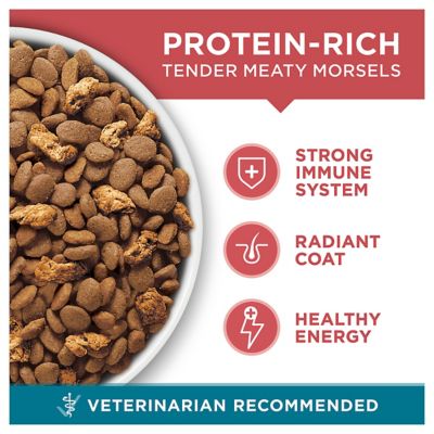 Image showing 2 th Purina ONE Natural Adult Indoor/Outdoor Tender Selects Blend with Real Salmon Recipe Dry Cat Food