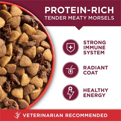 Image showing  Small Bites Beef and Rice Formula High Protein Dry Dog Food