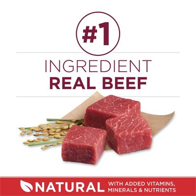 Image showing  Small Bites Beef and Rice Formula High Protein Dry Dog Food