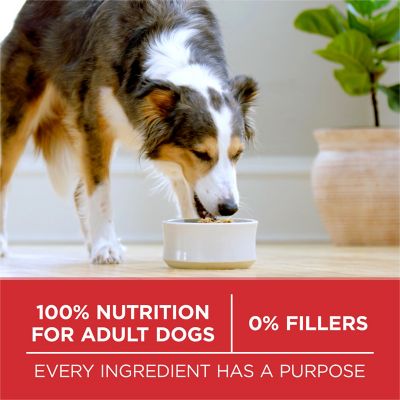 Image showing 6 th Purina ONE Small Bites Beef and Rice Formula High Protein Dry Dog Food