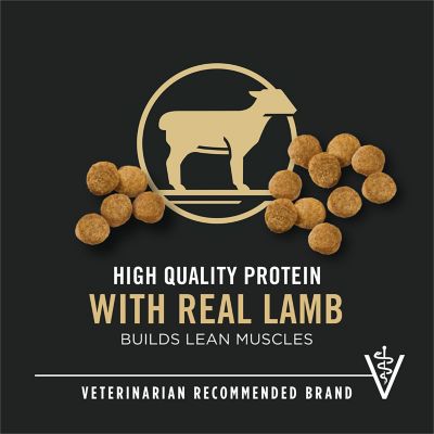 Image showing  Focus Puppy Lamb and Rice Formula Dry Dog Food