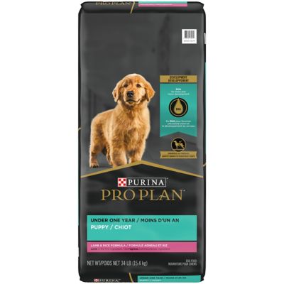 Purina Pro Plan Focus Puppy Lamb and Rice Recipe Dry Dog Food