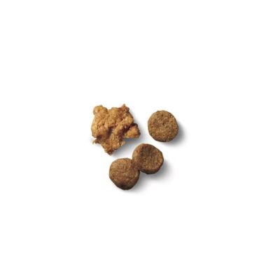 Image showing  Puppy Shredded Blend Chicken and Rice Formula Dry Dog Food, 6 lb. Bag