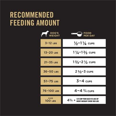 Image showing  Complete Essentials Adult Shredded Blend Beef and Rice Formula Dry Dog Food