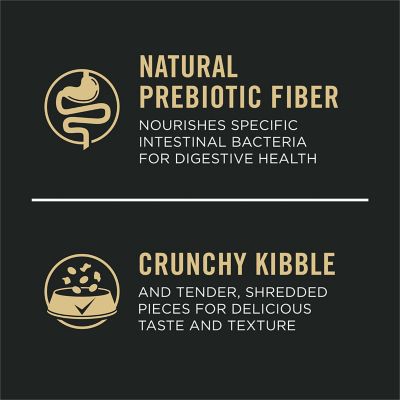 Image showing  Shredded Blend Chicken and Rice Formula With Probiotics Senior Dry Dog Food