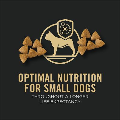 Image showing  Focus Chicken & Rice Formula Adult Small and Toy Breed Dry Dog Food