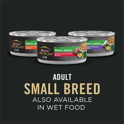 Image showing 7 th Purina Pro Plan Focus Chicken & Rice Formula Adult Small and Toy Breed Dry Dog Food