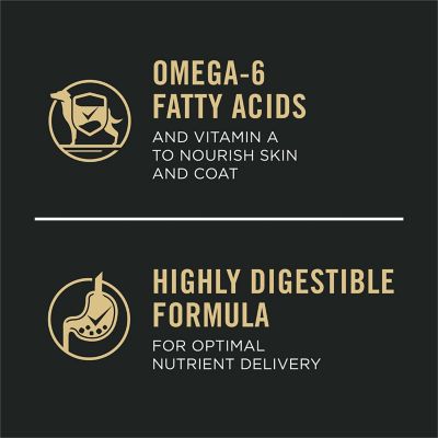 Image showing 6 th Purina Pro Plan Focus Large Breed Adult Chicken and Rice Recipe Dry Dog Food