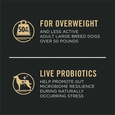Image showing  Large Breed Adult Weight Management Chicken and Rice Formula Dry Dog Food, 34 lb. Bag