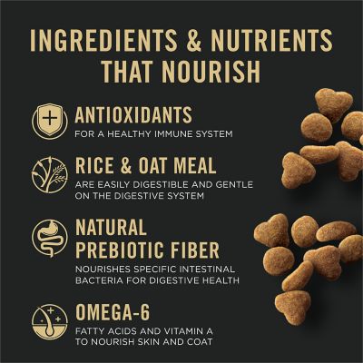 Image showing  Adult Indoor/Outdoor Sensitive Skin and Stomach Lamb and Rice Formula Dry Cat Food